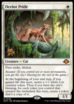 Branco di Ocelot
