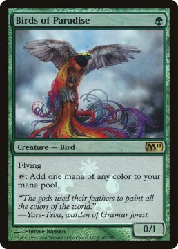 /prodotti/singles/magic/promo/birds-of-paradise_241974.jpg