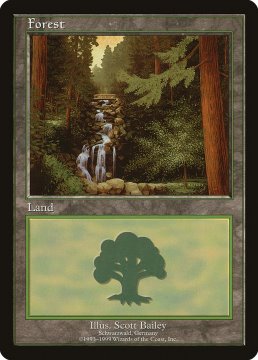 /prodotti/singles/magic/promo/forest-v1_17618.jpg