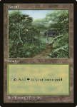 Foresta (APAC)