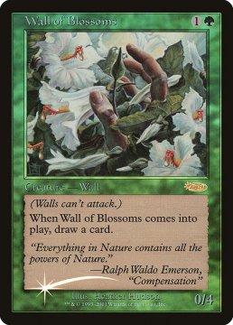 /prodotti/singles/magic/promo/muro-di-bocciuoli_15797.jpg