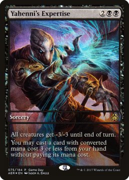 /prodotti/singles/magic/promo/yahennis-expertise_294553.jpg