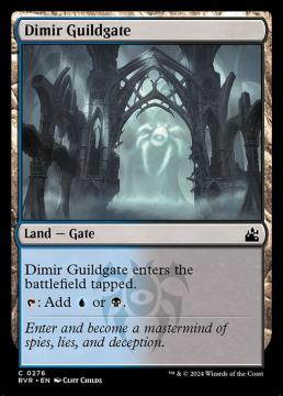 /prodotti/singles/magic/rvr/dimir-guildgate_748629.jpg