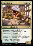 Phytoidra