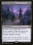 Maestria di Liliana