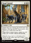 Lince Reale