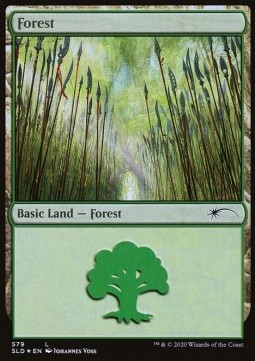 Foresta