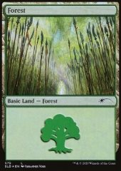 Foresta