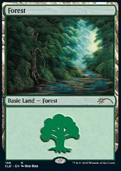 Foresta