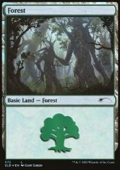 Foresta