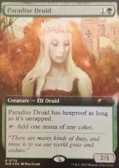 Druida del Paradiso