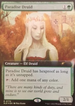Druida del Paradiso