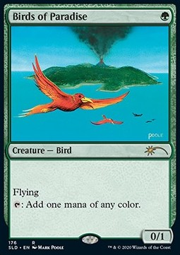 Uccelli del Paradiso