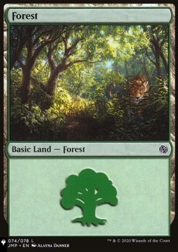 Foresta