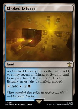 /prodotti/singles/magic/who/choked-estuary_739128.jpg