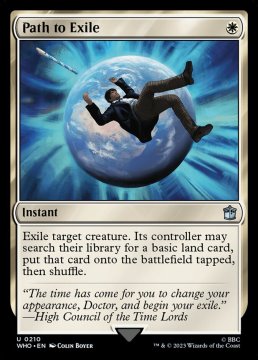 /prodotti/singles/magic/who/path-to-exile_739069.jpg