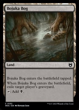 /prodotti/singles/magic/woc/bojuka-bog_730250.jpg
