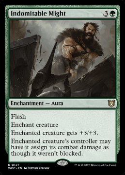 /prodotti/singles/magic/woc/indomitable-might_730220.jpg
