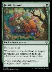 Terreno Fertile