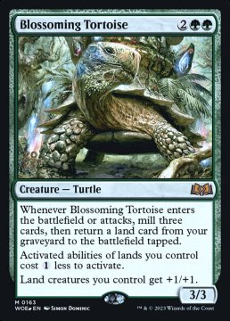 /prodotti/singles/magic/woe/blossoming-tortoise-v1_730707.jpg