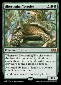 /prodotti/singles/magic/woe/blossoming-tortoise_728109.jpg