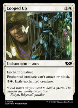 /prodotti/singles/magic/woe/cooped-up_729956.jpg