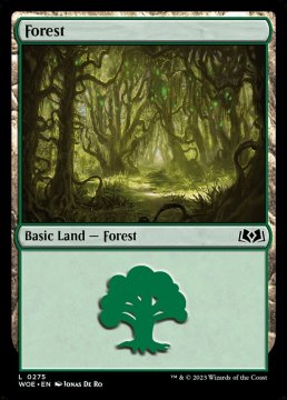 /prodotti/singles/magic/woe/forest-v2_729734.jpg