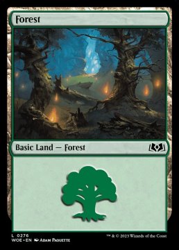 /prodotti/singles/magic/woe/forest-v3_730002.jpg