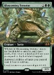 Blossoming Tortoise