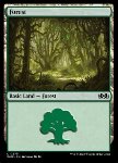 Foresta
