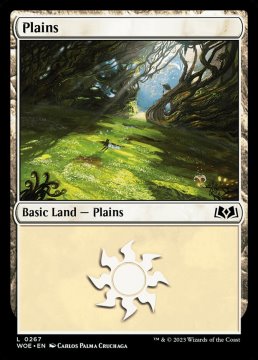 /prodotti/singles/magic/woe/plains-v2_729916.jpg