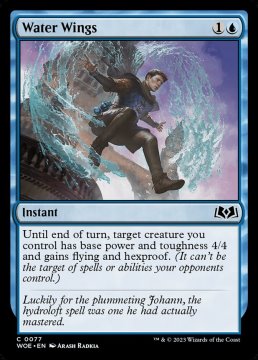 /prodotti/singles/magic/woe/water-wings_729055.jpg
