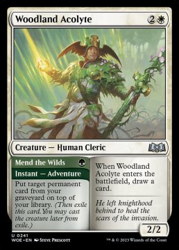/prodotti/singles/magic/woe/woodland-acolyte-mend-the-wilds_729738.jpg
