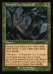 Attraverso Ulvenwald