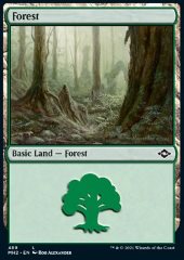 Foresta