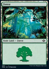 Foresta