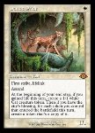 Branco di Ocelot