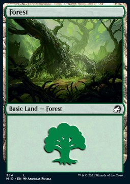 Foresta