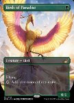 Uccelli del Paradiso