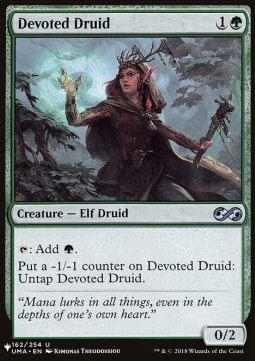 Druido Devoto