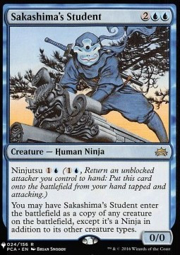 Studente di Sakashima