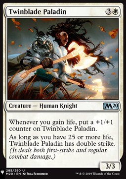 Paladina delle Lame Gemelle