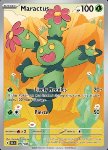Maractus 