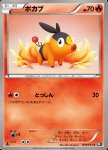Tepig 