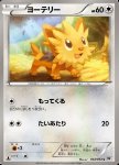 Lillipup 