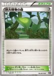 Foresta delle Piante Giganti