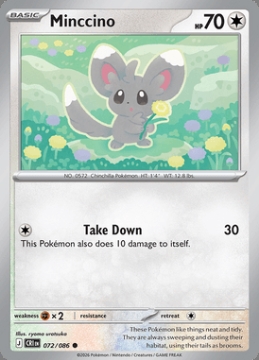 Minccino 