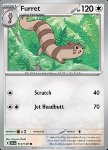 Furret 