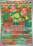 Maractus 