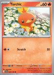 Torchic 